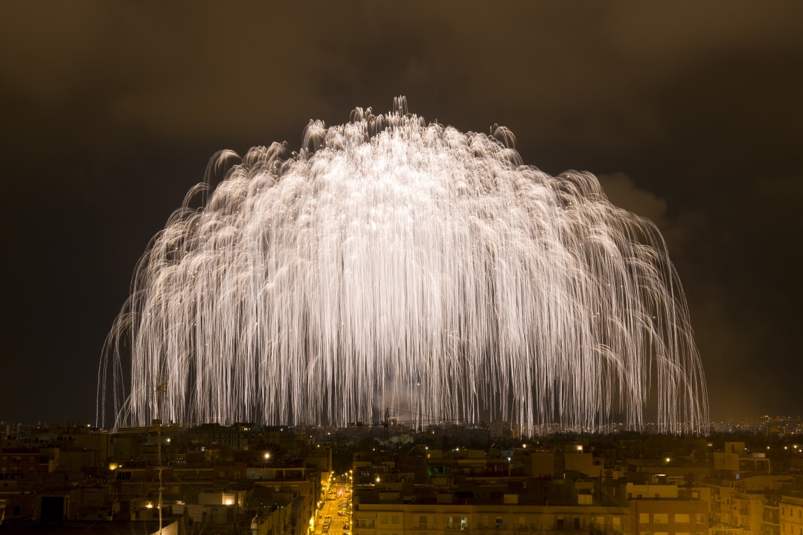 Palmera_fiestas
